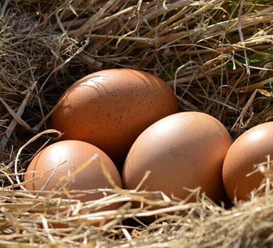 四川仁寿 农家优质洋鸡蛋15-30枚装厂家直销 农产品特产禽蛋批发